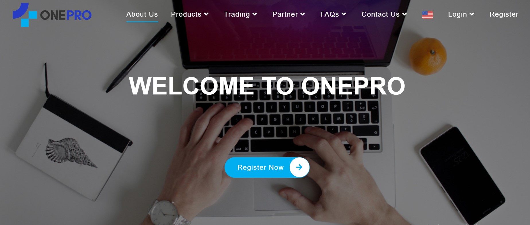 OnePro Global website