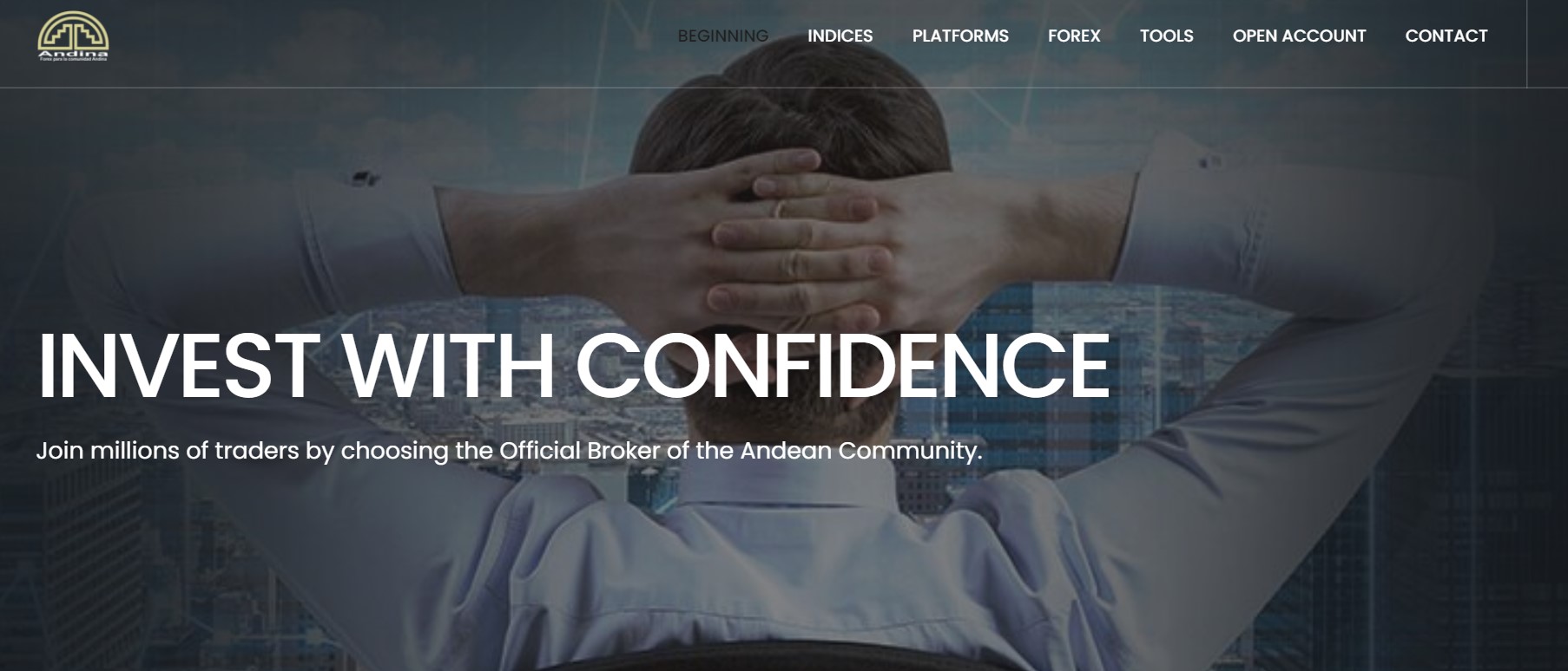 AndinaFX website