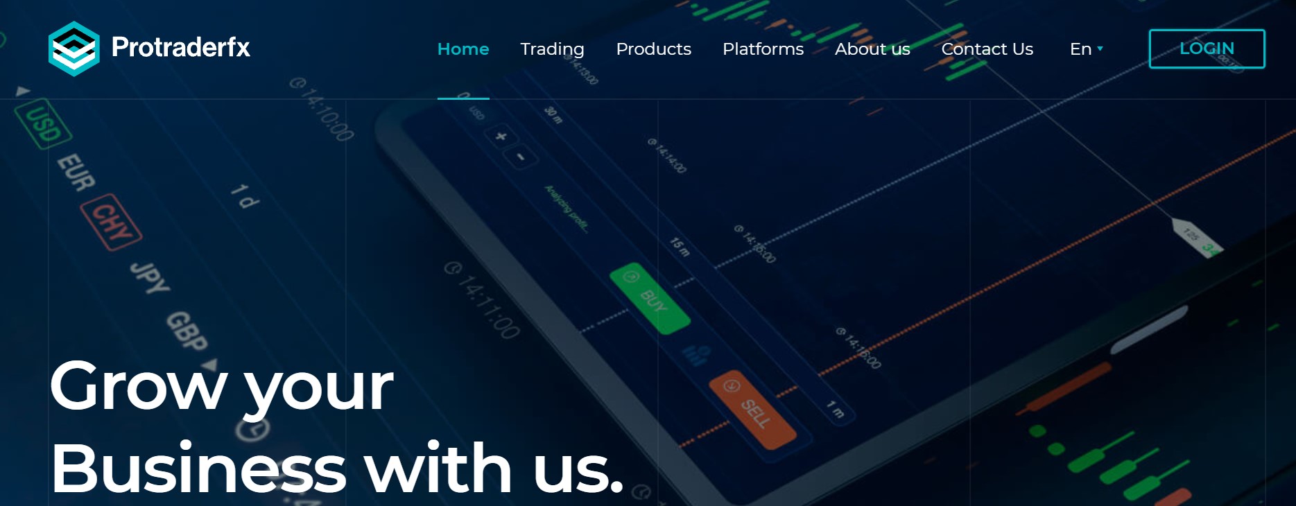 Protraderfx website