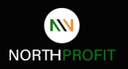 NorthProfit logo