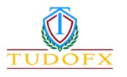 TudoFX logo